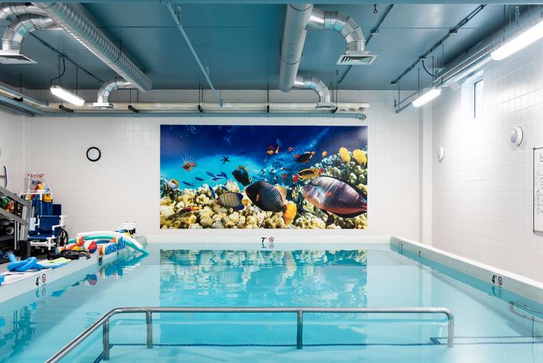 SWIMMING POOL REHABILITATION & RESTORATION